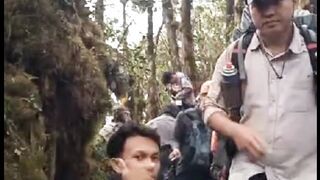 Let's Hike Mount Patah