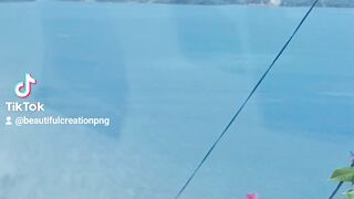 Sea View 5
