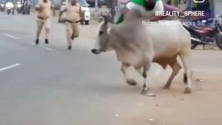 Funny video