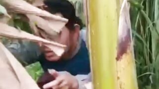 Kebetulan ada cewek lagi ngapain ya