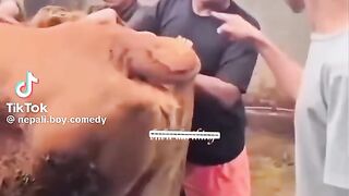 Vídeo engraçado 158