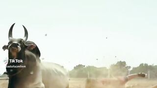 Best Movie Seen 6