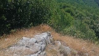 Rhodope mountain