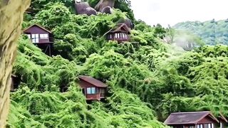 A Hidden Paradise You’ll Want to Visit 🌿