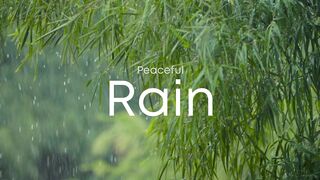 Rain Mode Weather Vibes
