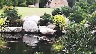 Woww beautiful 2