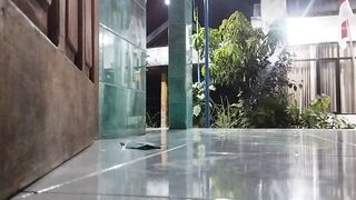 Light lamp 2