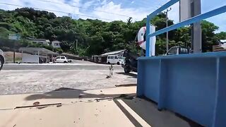 When the ferry arrived, many cats came to the pier to welcome us.