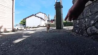 I met a cat in a back alley on "Cat Island"; it came right up to my feet, asking to be petted.