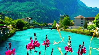 Beautiful day never come per day