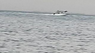 Halfmoon Beach