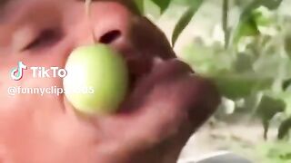 Vídeo engraçado 180