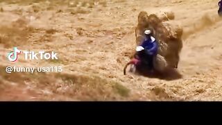 Vídeo engraçado 183