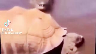 Vídeo engraçado 186