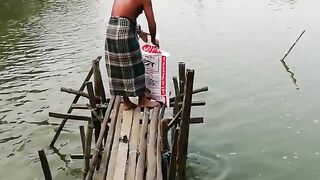 Feeding Pangasius Fish