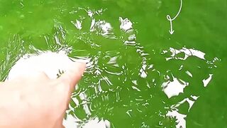 Green water is not necessarily safe