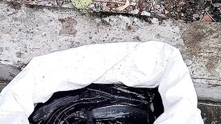 Organic catfish farming on a home scale