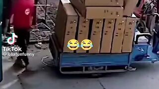 Vídeo engraçado 198