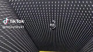 Vídeo engraçado 201