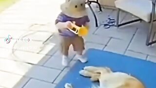 Vídeo engraçado 205