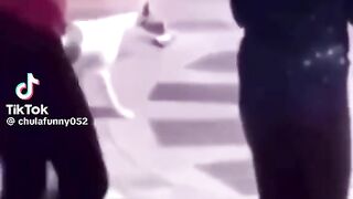 Vídeo engraçado 208
