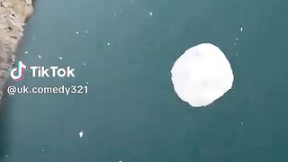 Vídeo engraçado 220