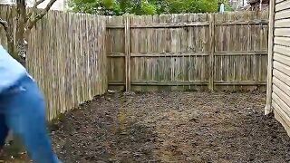 She Transformed Her Backyard Into a Stunning Dream Garden! 🌿✨ The Amazing Makeover