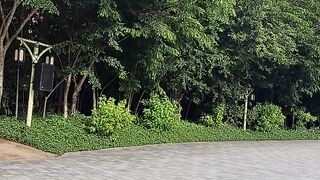 Greenery Nature