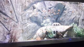 Cute little 5