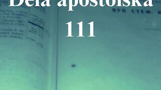 Dela apostolska 111