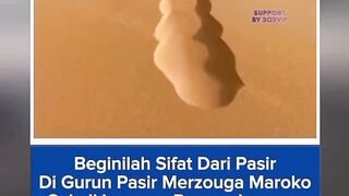303NEWS 58