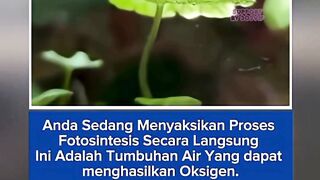 303NEWS 59