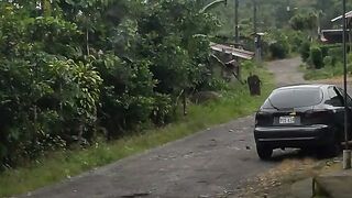 Palmar