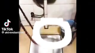 Vídeo engraçado 230