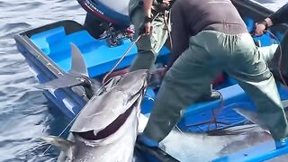 Giant Fish Successfully Pulled Onto the Boat! 🎣🌊
