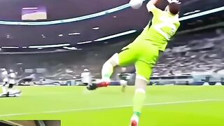 Bravo keeper