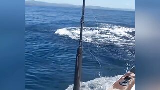 Epic Marlin Fishing! Massive Fish Jumps Out of the Ocean 🎣🌊