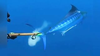 Epic Spearfishing Encounter With a Giant Blue Marlin! 🎯🐟