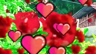 A I PROJECT LOVE MOVEMENT