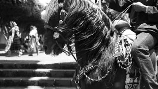 Cavalry Troops