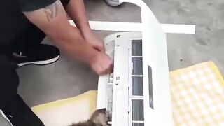 Who actually works
