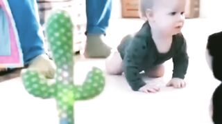 cute baby dance video????????????????????
