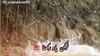 New viral video