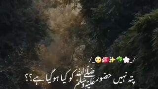 Hazrat Mohammad (s.a.w.)