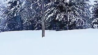 Beautiful video ????????