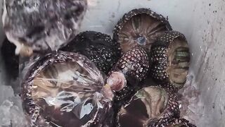 Food Of Vietnam