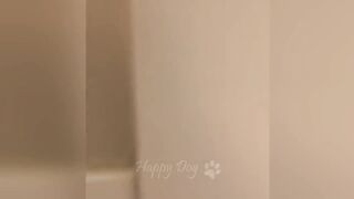 Very Fun|Funniest animals | dogs and cats