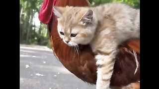 Me and my brother go out . A beautiful moment #521 - #shorts.|Funny viral clips 2023