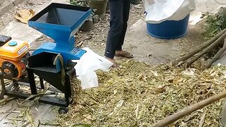 Silase Proses