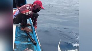 Massive Fish Caught at Sea!
